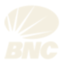 Banco Nacional de Crédito logo