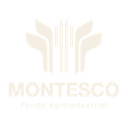 Montesco Capital Global logo